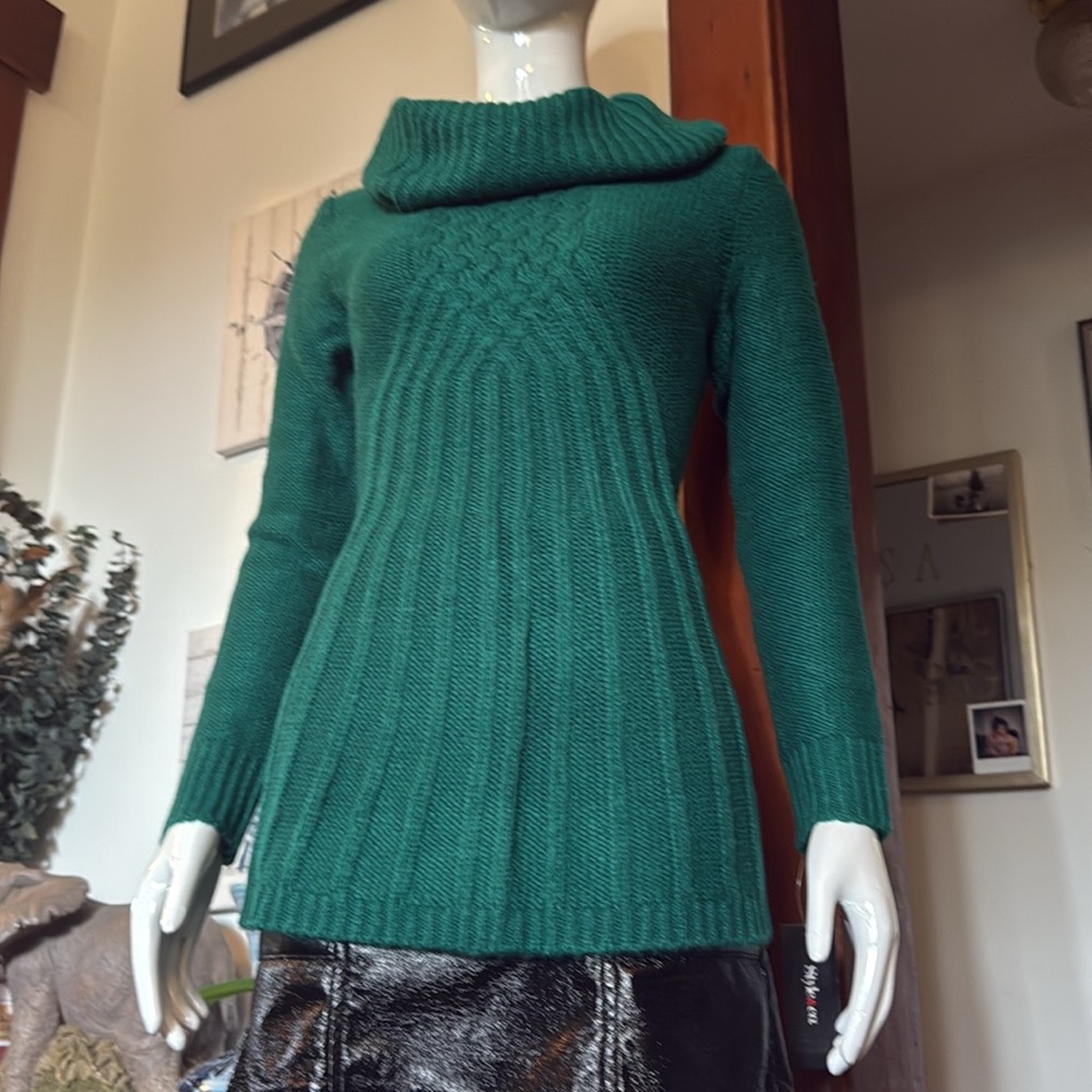 NWT Style&Co size small long Emerald Green Women's Sweater